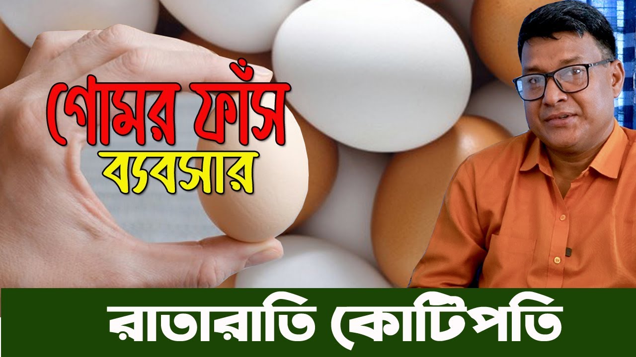 কাজী ফার্ম থেকে কিভাবে ডিম বিট করে ব্যবসা করবেন। ডিমের ডিলারি ব্যবসার আইডিয়া