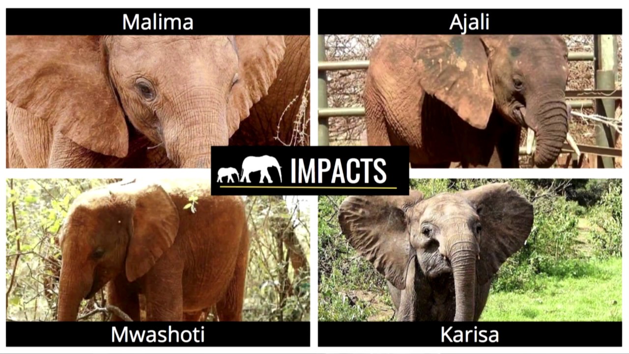 Increasing Awareness of and Support for Integrated Approaches to Conservation