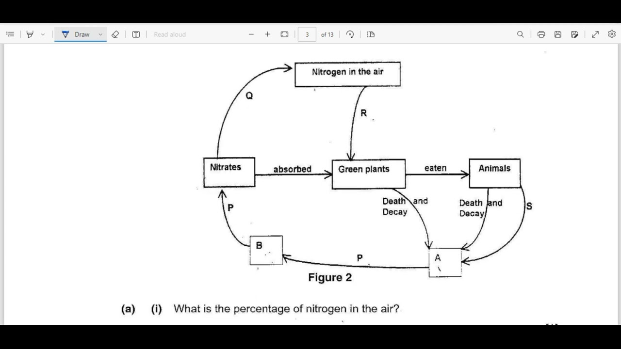 BIOLOGY PAPER 2 2001