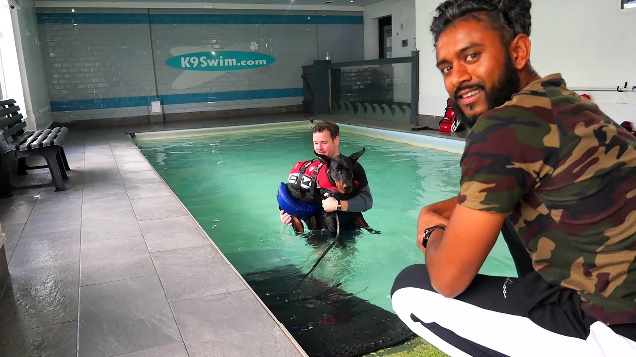 DOBERMAN FIRST SWIMMING LESSON | DOGGY PADDLE | TUX