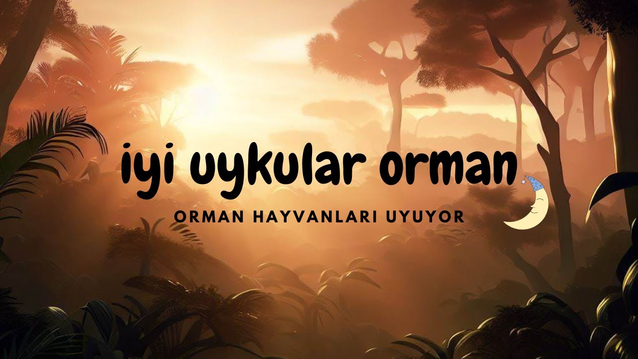 İyi Uykular Orman 🌳 | Uyku öncesi rahatlatıcı ve öğretici hikaye 💤 | Yağmur ve ninni eşliğinde✨