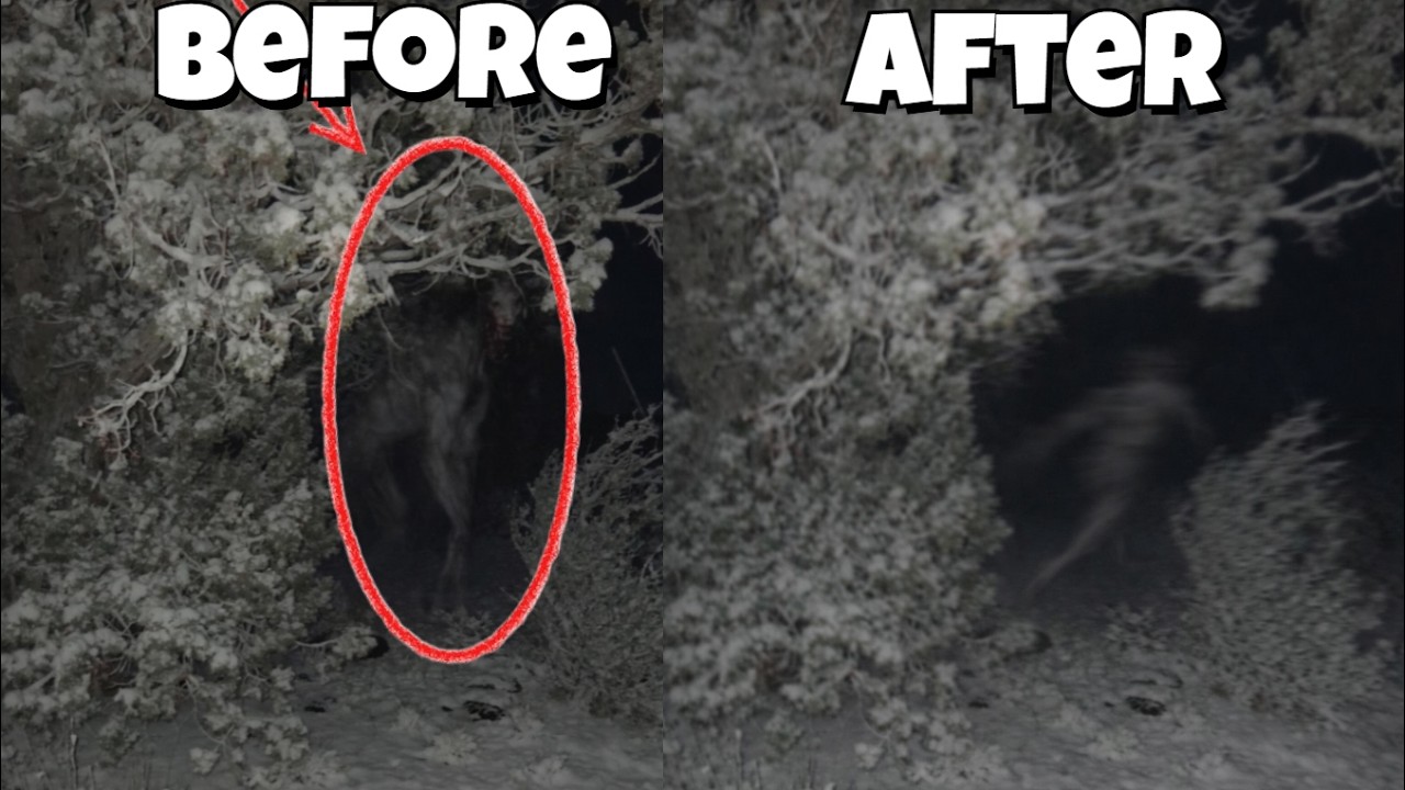 The Scariest TikToks You Shouldn’t Watch at Night!? 🌙