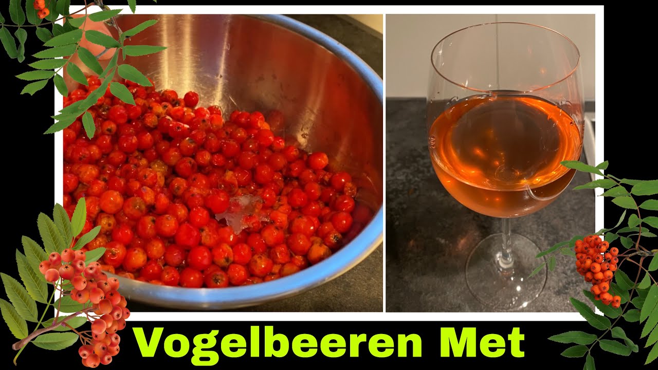 Vogelbeeren Met Rezept mit Eberesche | Honigwein selber machen | Selbstversorgung