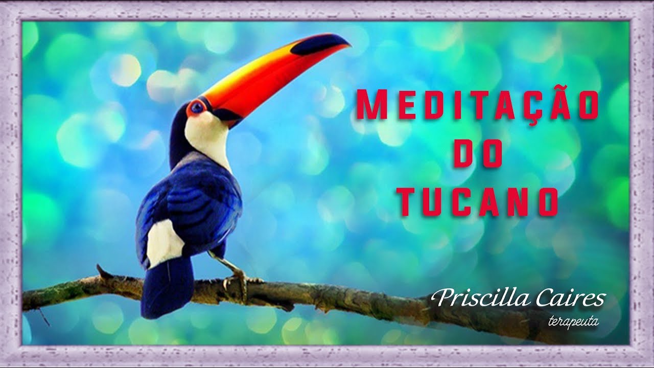 Meditação do Tucano