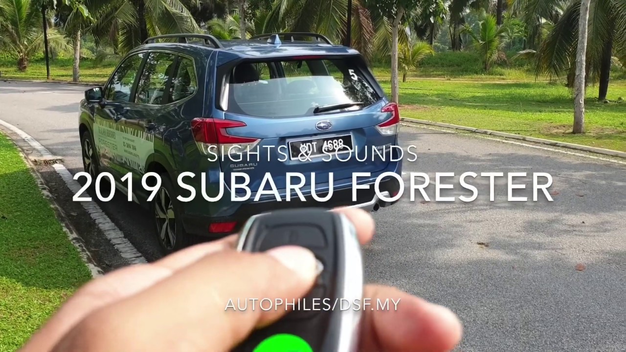 2019 Subaru Forester | Sights & Sounds