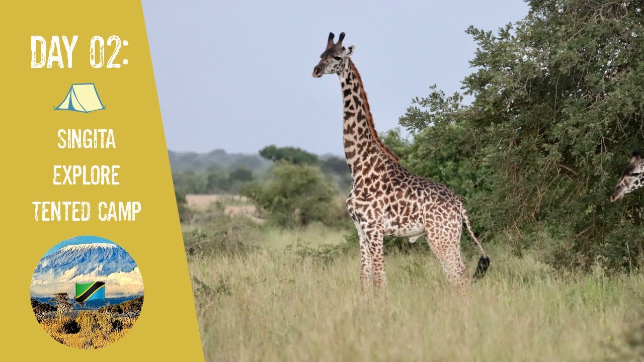 Day 2 Singita Explore Tented Camp - Serengeti