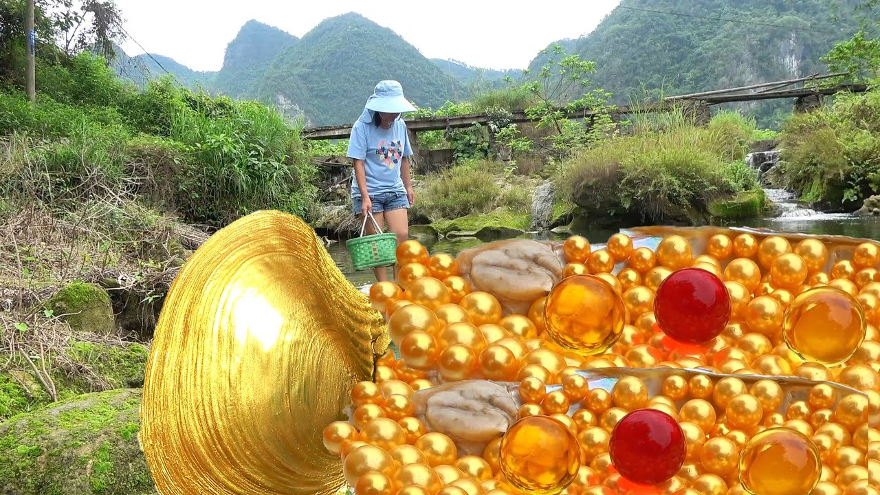From Mud to Millions: Mother's Chance Encounter with Giant Mussel Ends in Rare Pearl Treasure