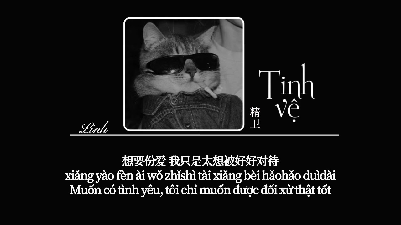 [Vietsub] Tinh vệ &bull;  30 năm trước, 50 năm sau♪精卫 &bull; 30年前,50年后