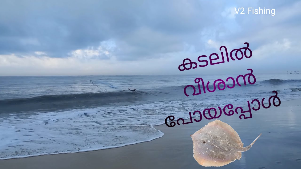 കടലിൽ വീശാൻ പോയപ്പോൾ #fishing #seafishing #sea