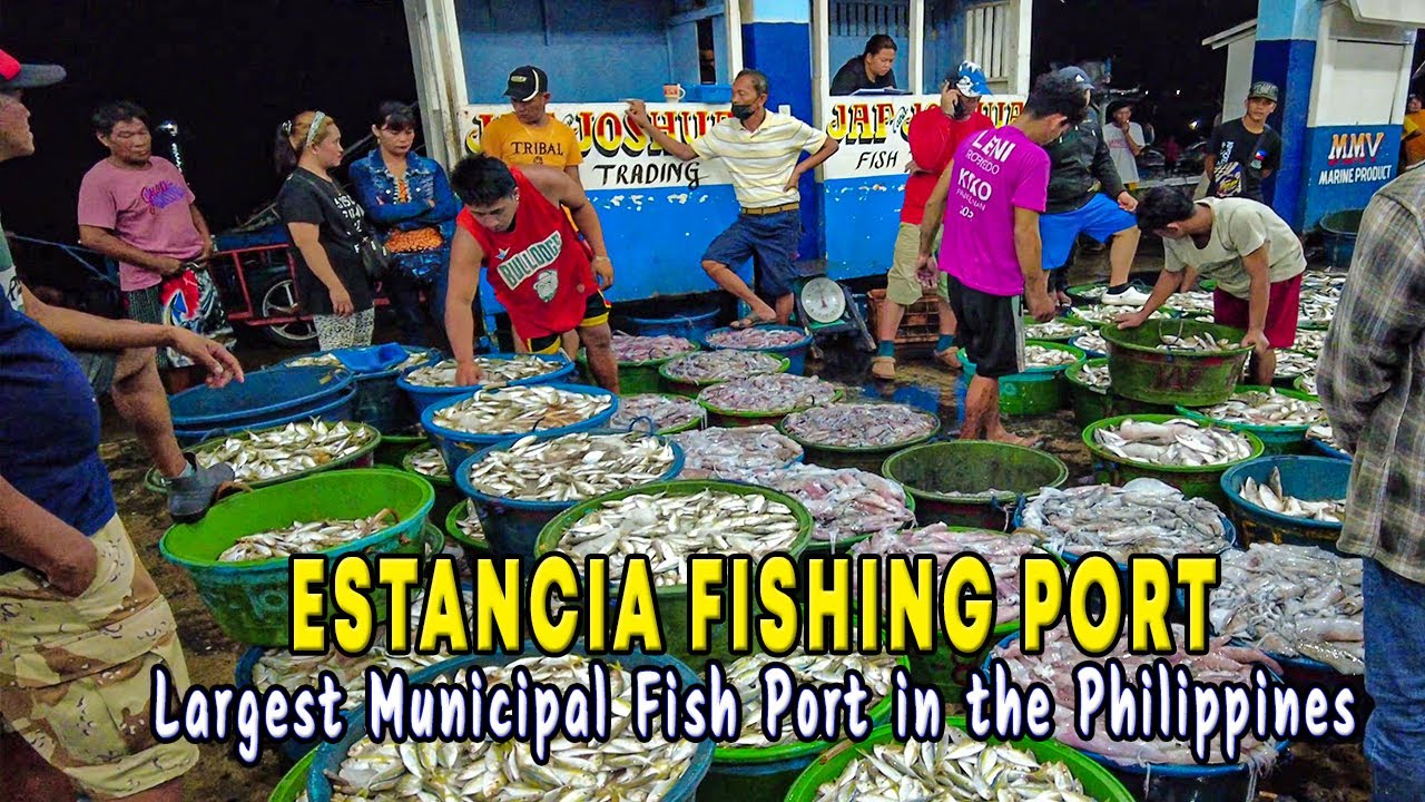 ESTANCIA FISHING PORT Walking Tour | Largest Municipal Fish Port in the Philippines |