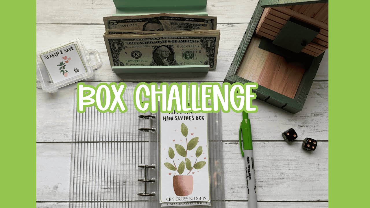LAST TIME IN MY PLANT BOX CHALLENGE #cashstuffingcommunity