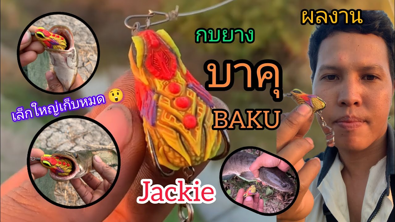 ผลงานกบยางบาคุ BAKU Jackie แจ๊คกี้ เล็กใหญ่เก็บหมด 😲🎣