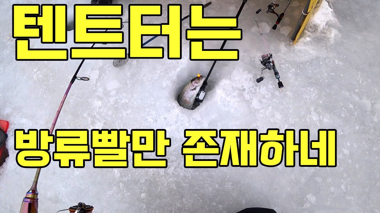 25평창송어축제 평일 텐트낚시터 #텐트터 #평창송어축제
