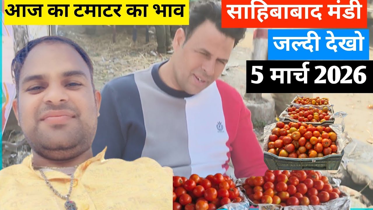 Why This Indian Mandi is Full of Tomatoes 🍅आज का टमाटर  भाव