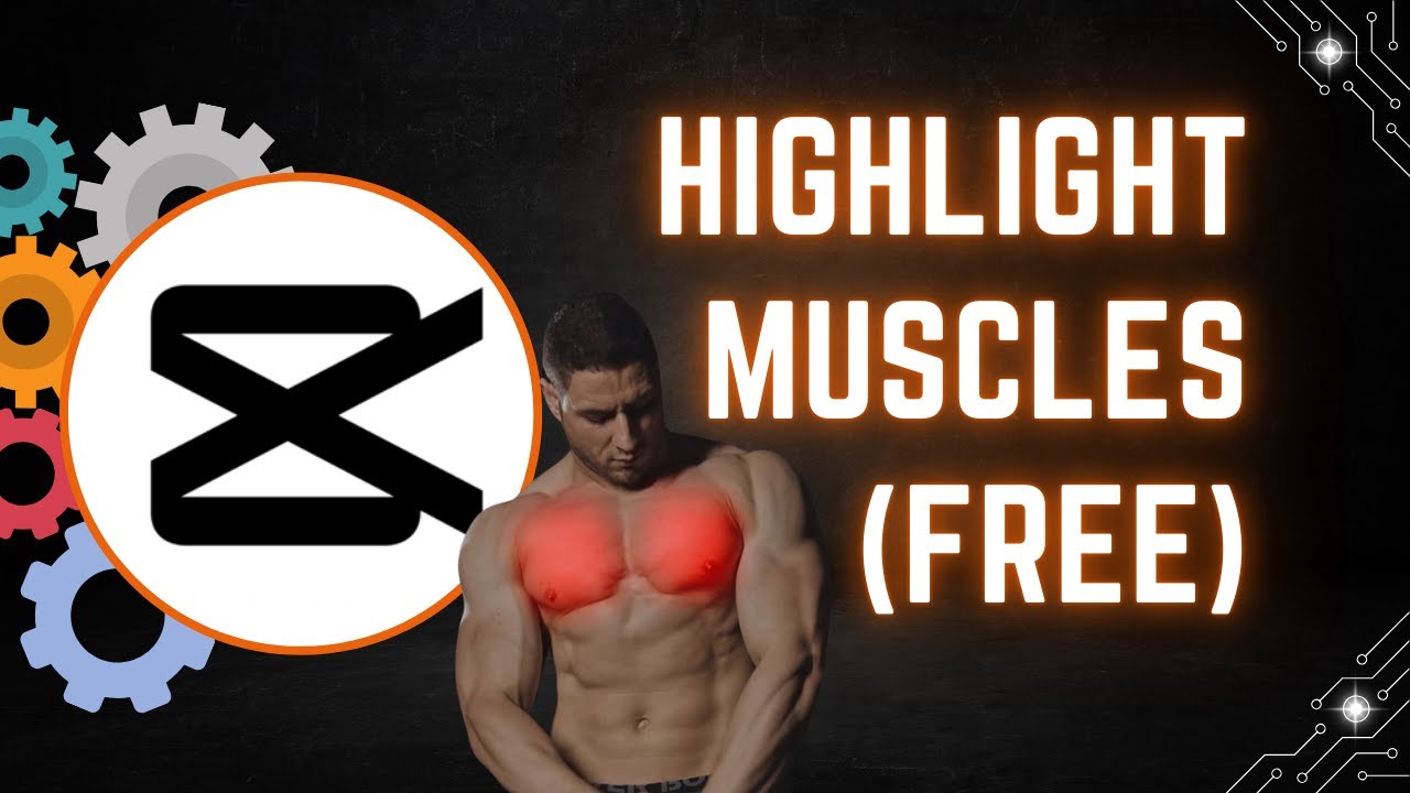 How to Highlight Muscles in CapCut PC (Free Method)