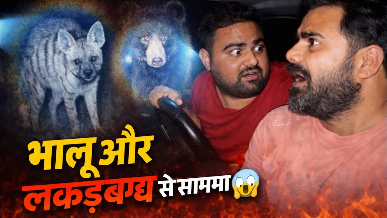 BHALU AUR HYENA SE SAMNA | REAL JUNGLE ENCOUNTER NIGHT SAFARI ||#ranthambhorenationalpark 