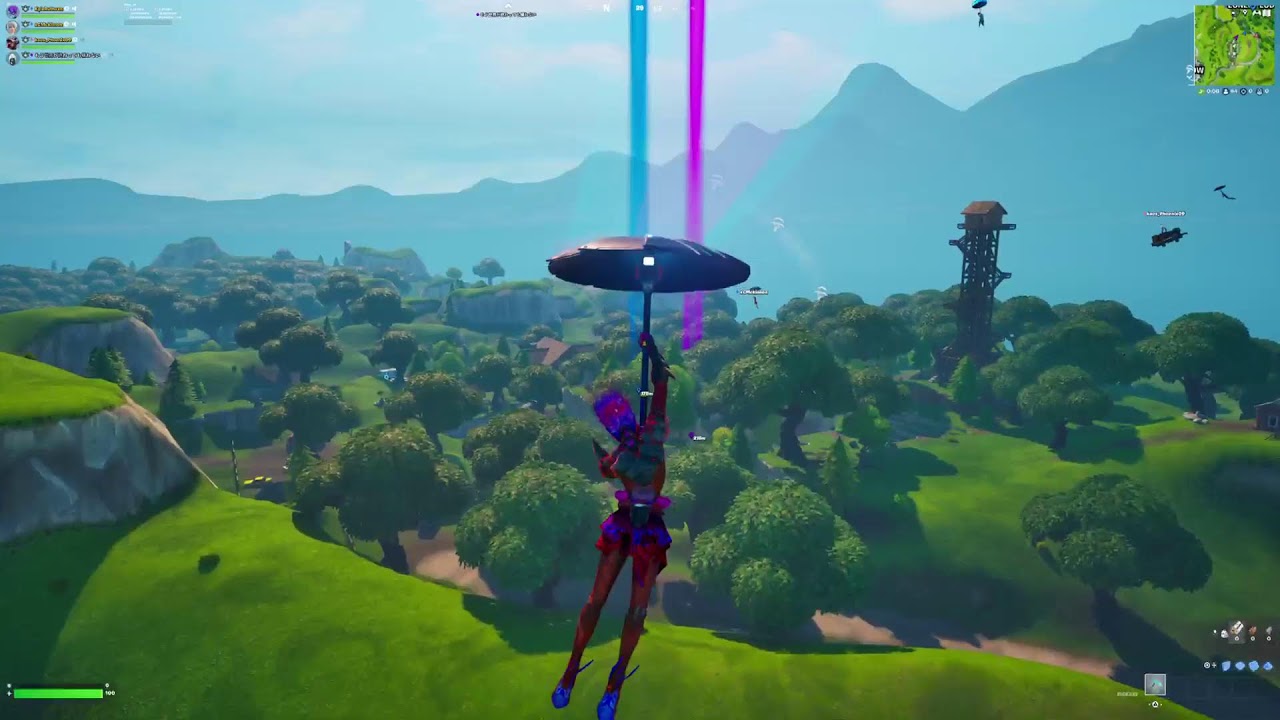 Fortnut