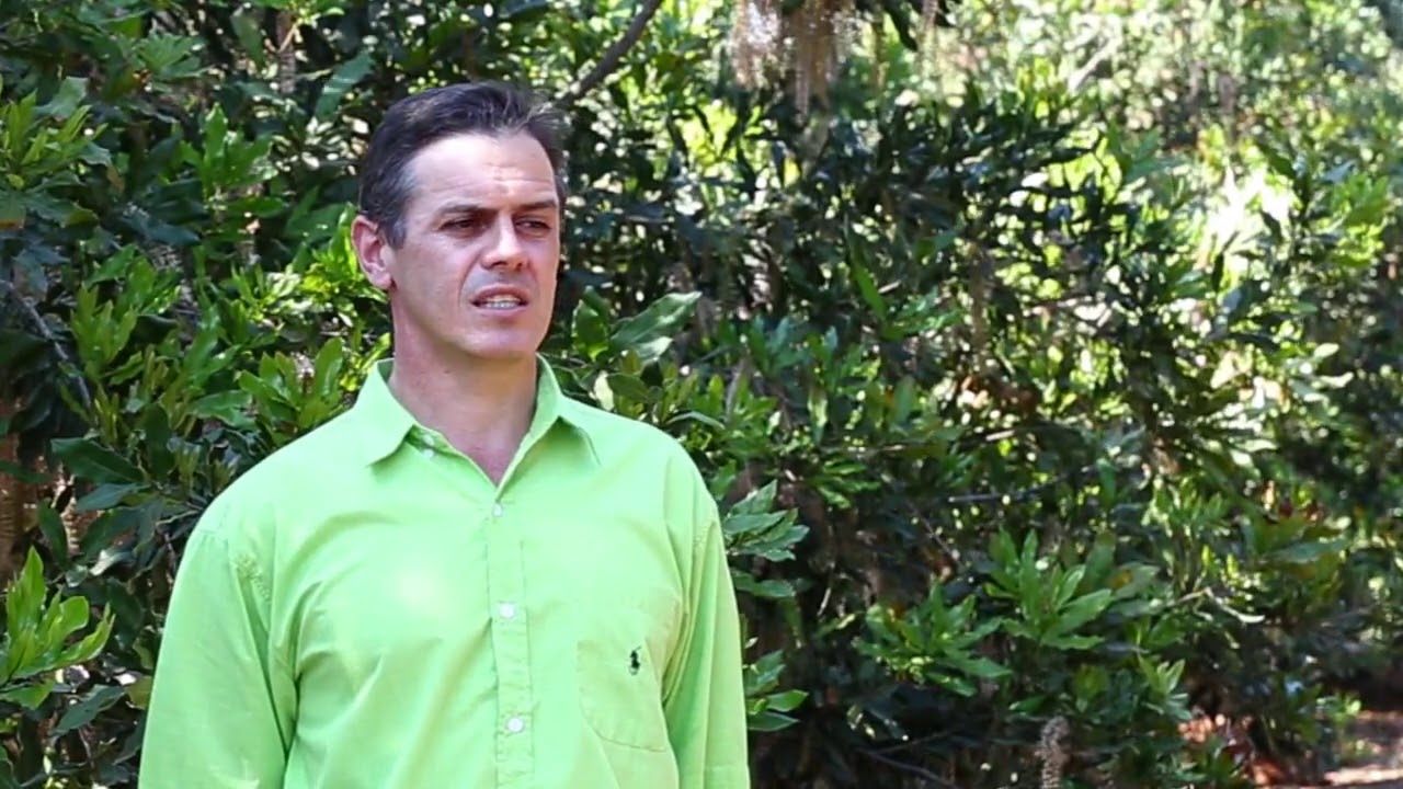 Testimonial: Macadamia Irrigation
