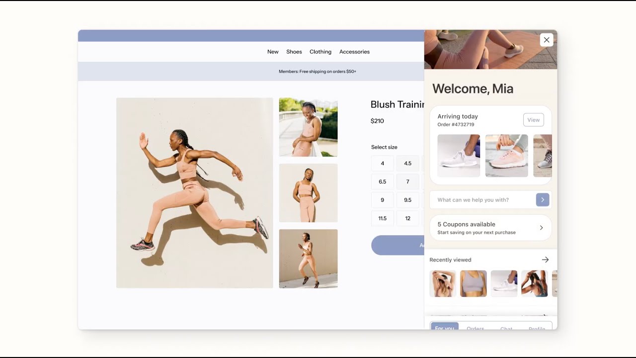 Klaviyo Customer Hub Feature Overview (2025)