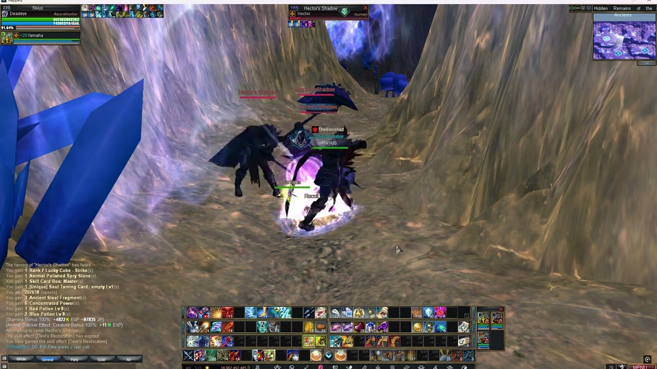 Rappelz - Taming Hector (T-pro Event Free)