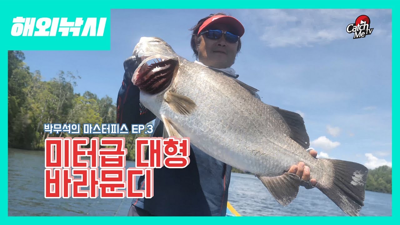 [4K] EP.3 박무석 프로의 미터급 대형 바라문디 - West Papua Barramundi, バラムンディ