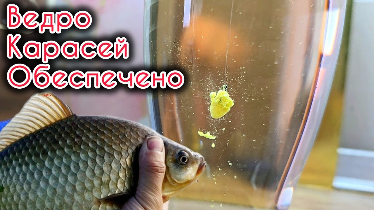 ТЕСТО ДЛЯ КАРАСЯ - Наловишь ВЕДРО За День! Уловистая насадка на КАрася и КАрпа!!