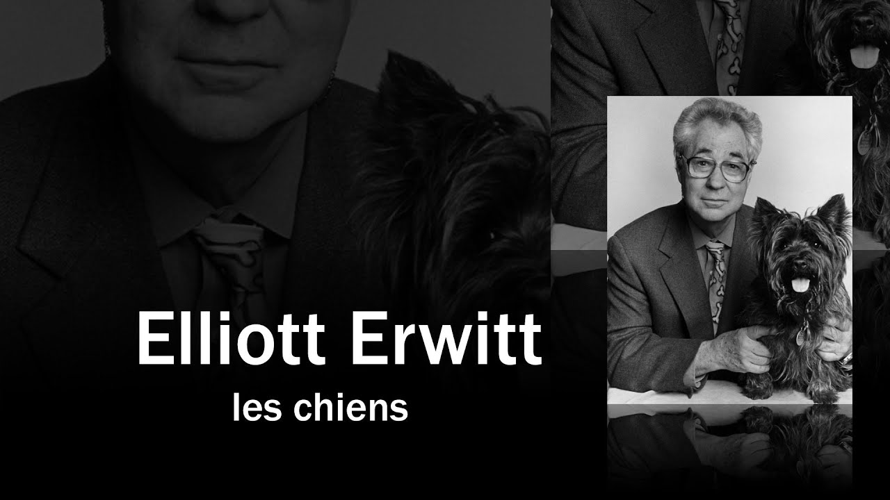 Les chiens de Elliott Erwitt [dogs, Fine Art Photography]
