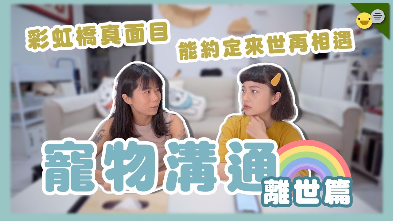 #寵物溝通-離世篇，幫助飼主如何從悲傷情緒走出！彩虹橋原來長這樣？可以約定來世再相見？骨灰罈不能放房間？｜兩隻胖兔兔 侑敏yomin