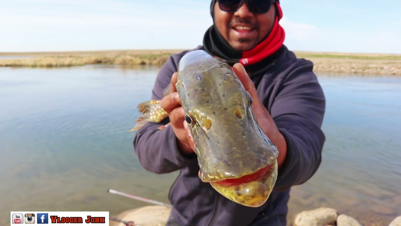 Some good pikes on Wildeye Trout Lures and Dynamite plastics/ Vlogger john testing out local lures