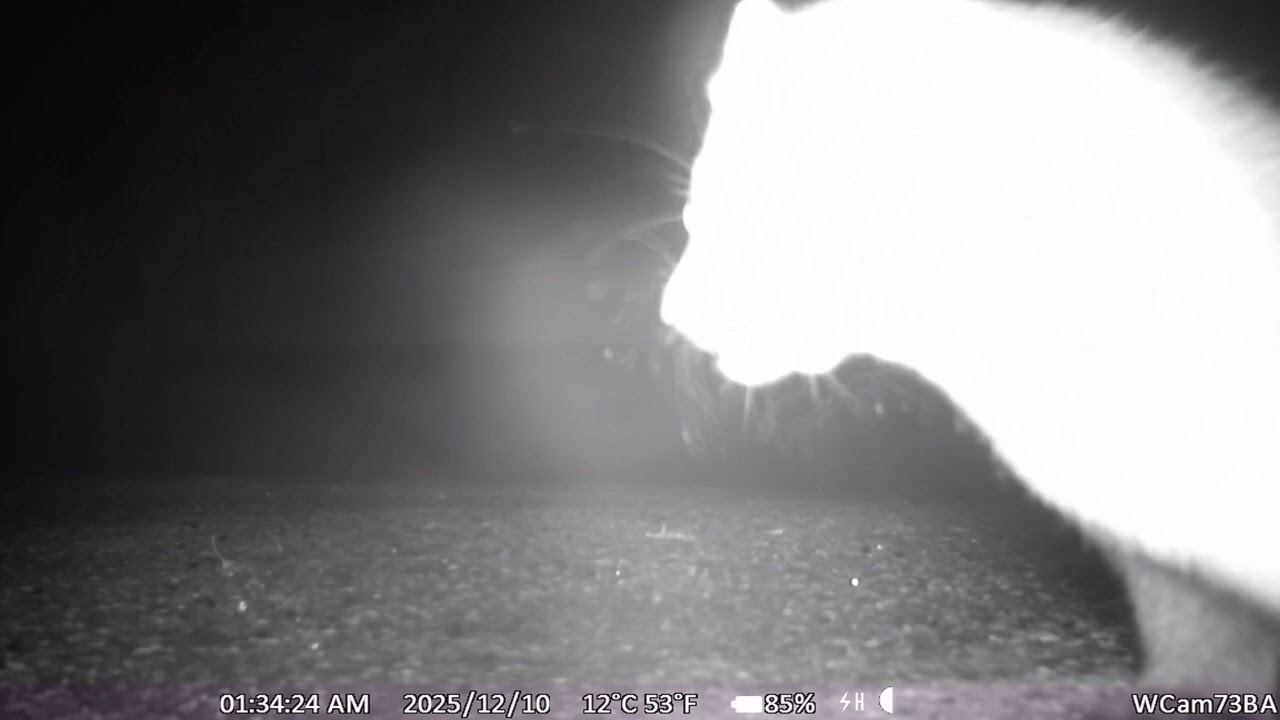 La nuit devant chez moi en Seine et Marne