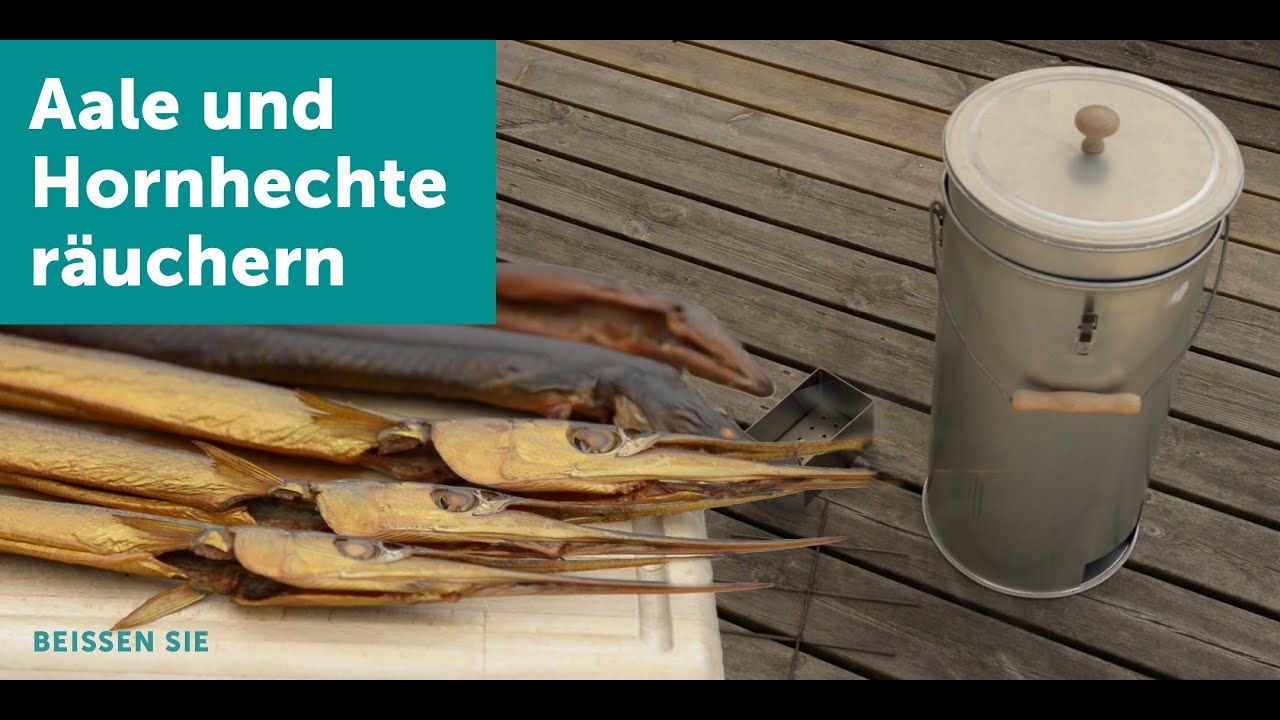 Selber räuchern von Aal und Hornhecht in einer Tonne