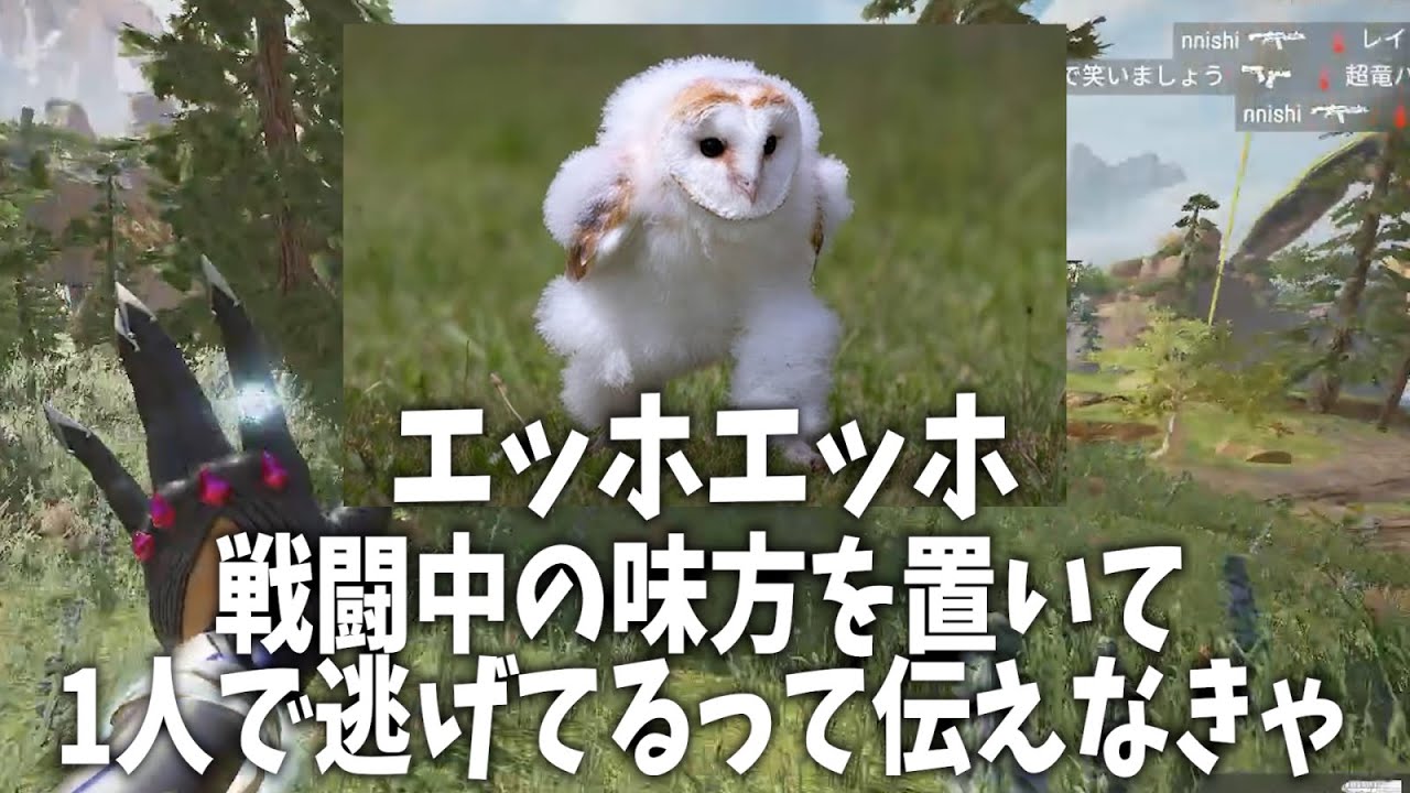味方に最悪のメンブクロウきた
