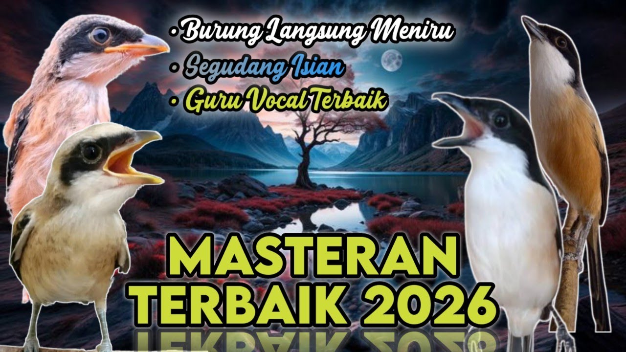 MASTERAN CENDET KOMBINASI NEMBAK PANJANG MATERI TENGKEK CAMPUR KUNTI, MASTERAN TERBAIK 2026