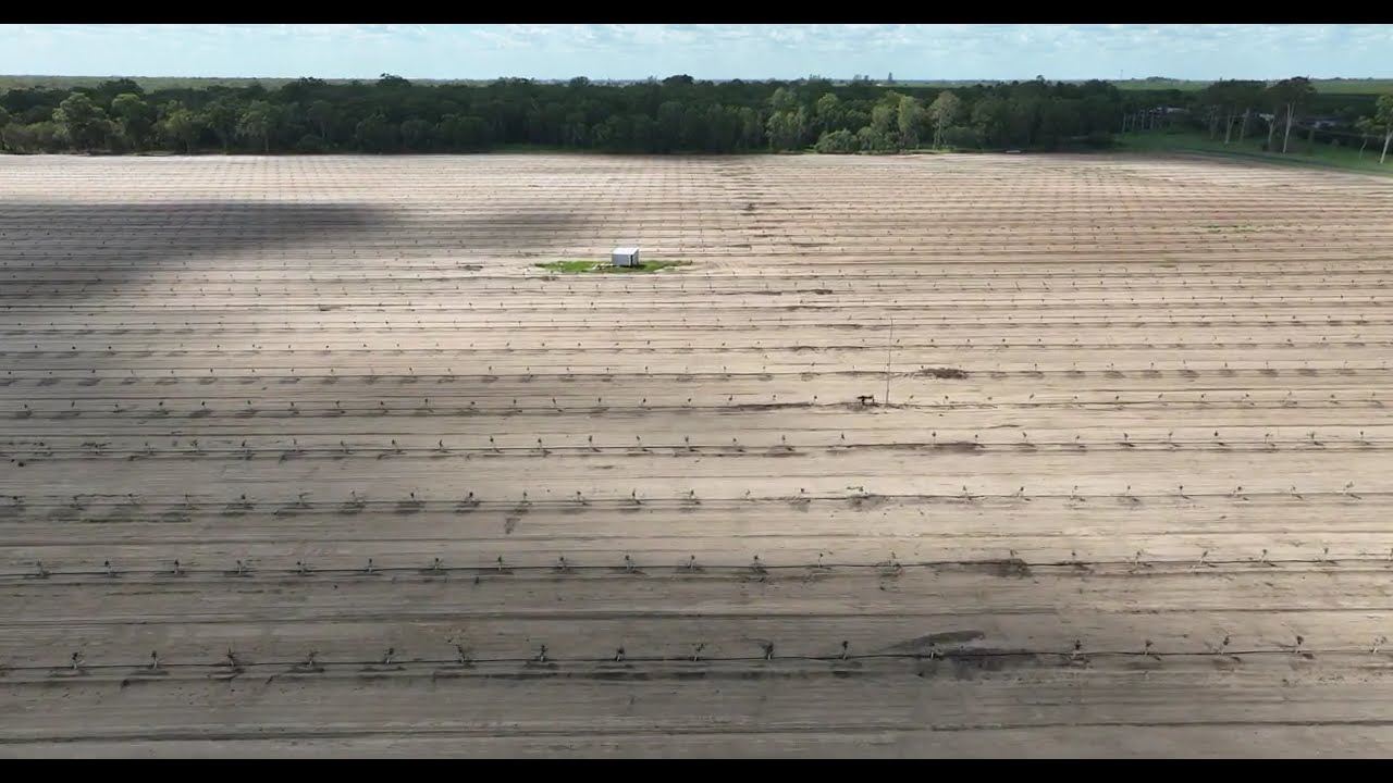 Kirrawee Drone Flight, December 2025 after Planting