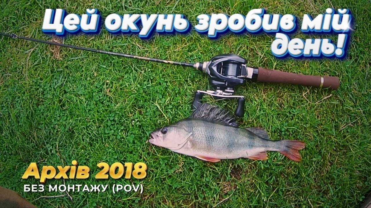 Рибалка без монтажу: Бонусний окунь та Shimano Aldebaran HG51