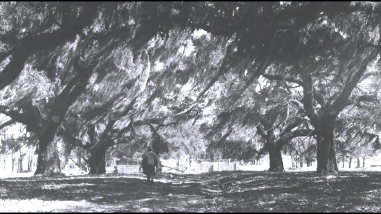 The Huntingtons, Brookgreen Gardens, and Sandy Island