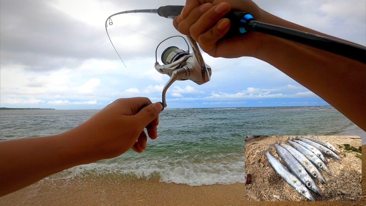 Serangan Ikan Predator: Ultralight Casting di Pantai Cibuaya Ujung Genteng