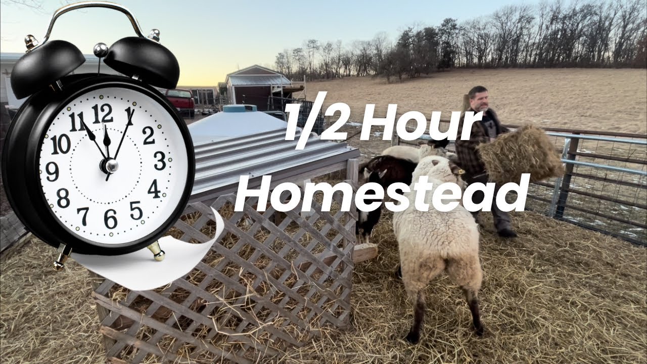 1/2 Hour Homestead 