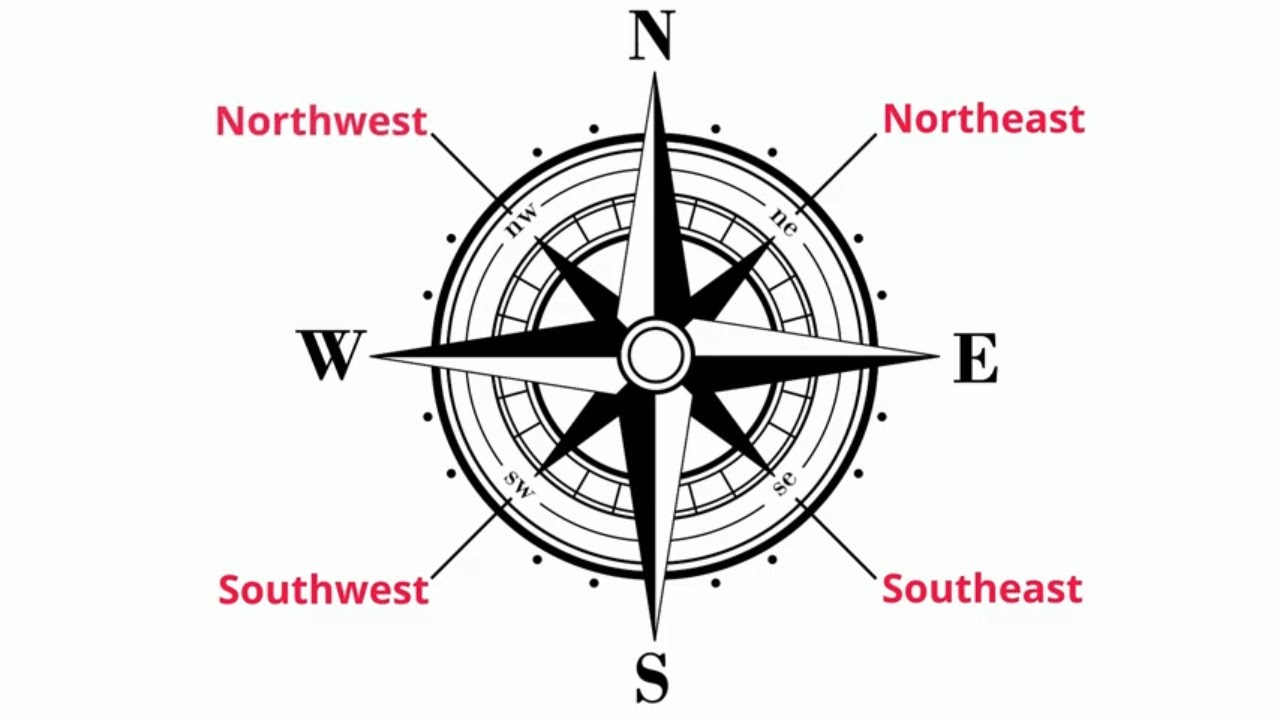 What are cardinal directions and a compass rose?