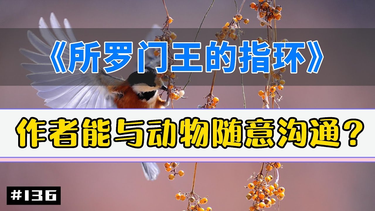 如果说 #动物行为学 领域，你只打算看一本书，那就应该是这本《所罗门王的指环》｜幻灯读书