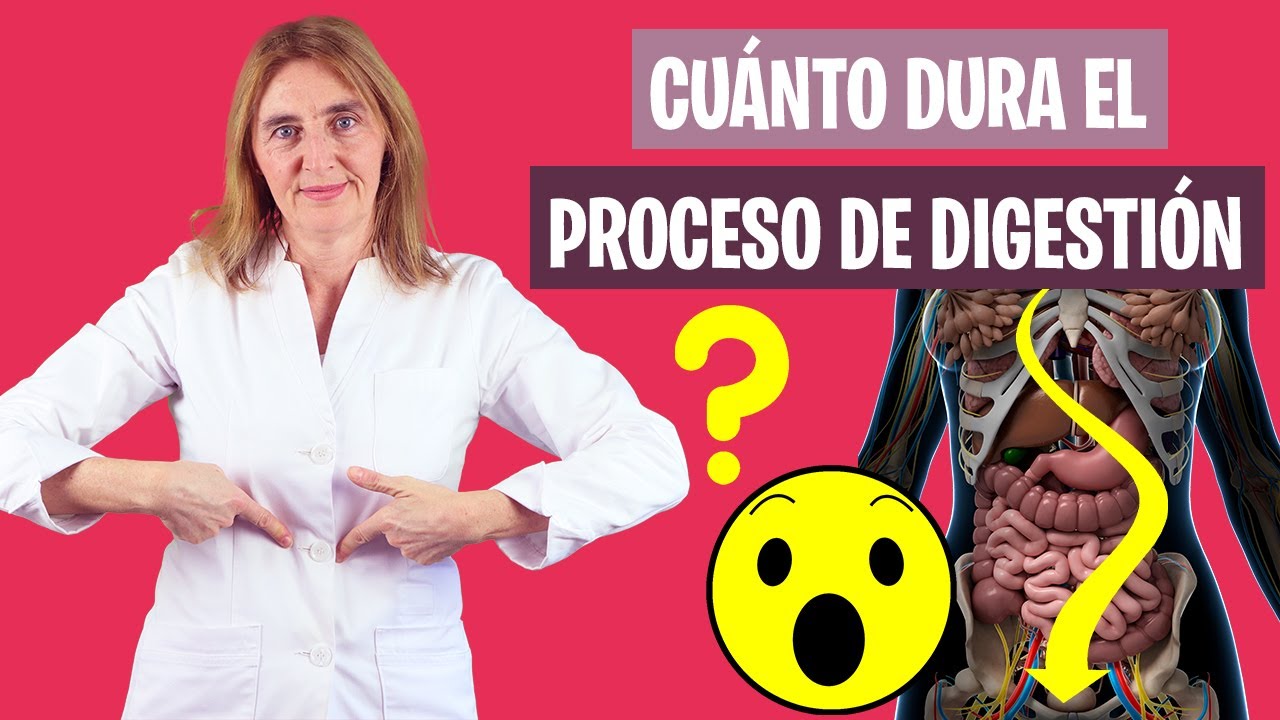 OJALÁ sepas CUANTO TARDA la DIGESTIÓN | Cuanto es el tiempo de la digestión | Nutrición y Dietética