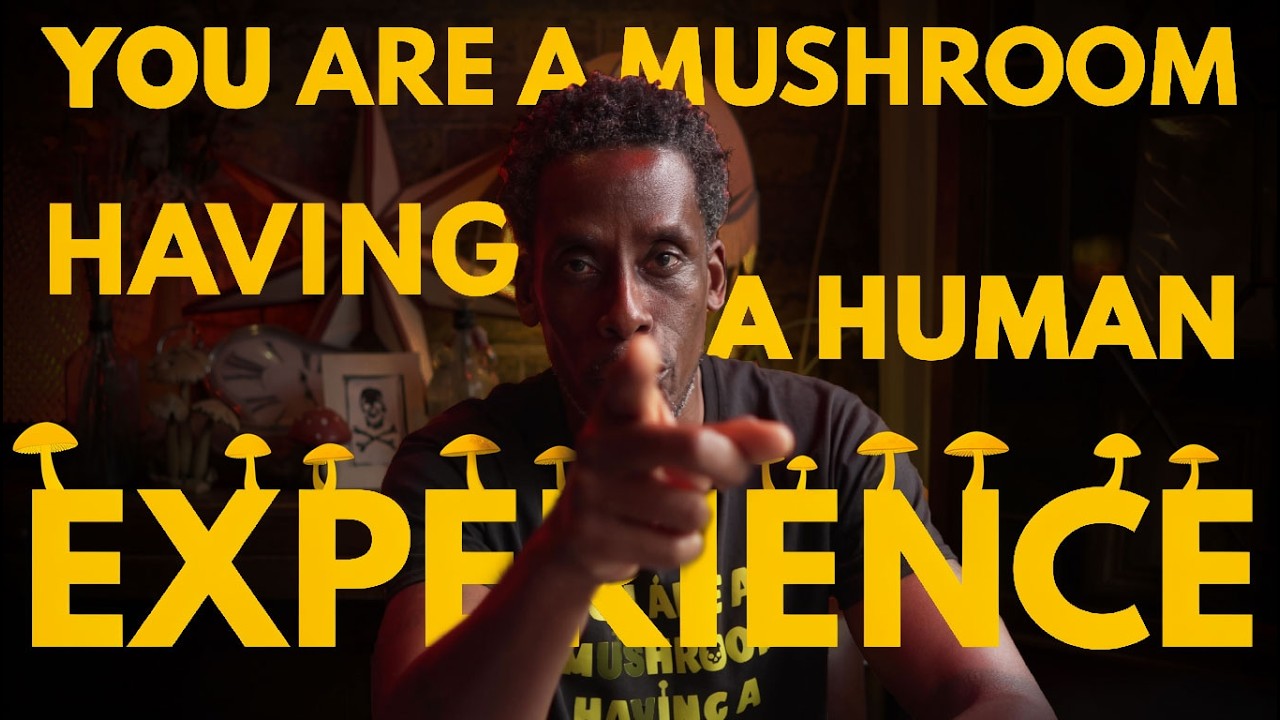 You are a Mushroom having a Human Experience | Darren Le Baron