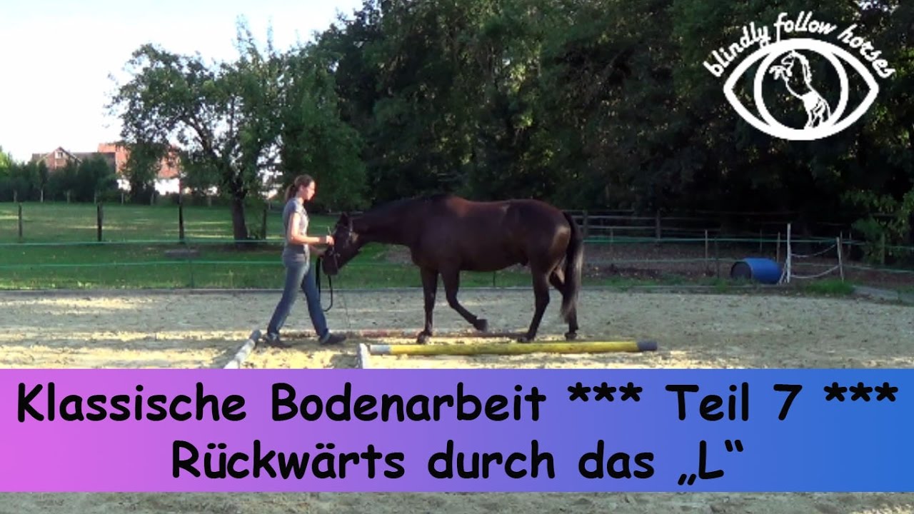 Klassische Bodenarbeit * Teil 7  * Rückwärts durchs "L"