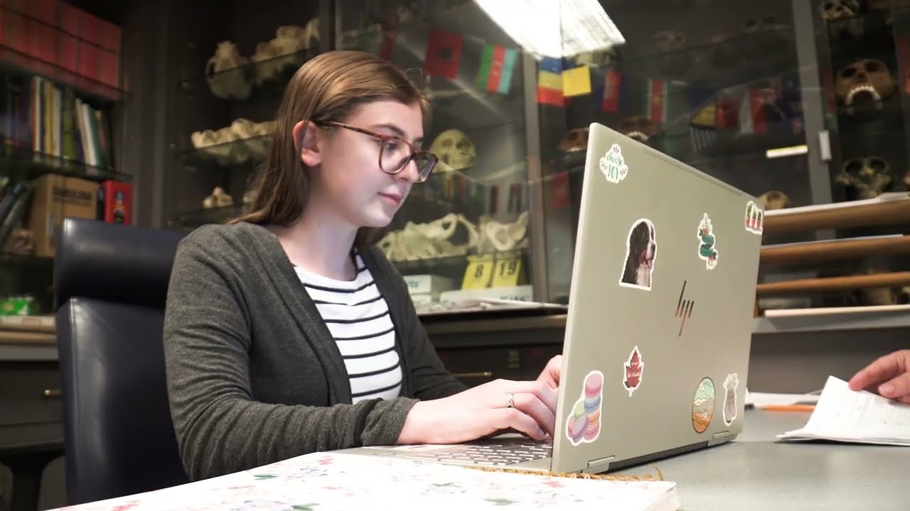 Peace Online: Flexible Online Degrees for Working Adults