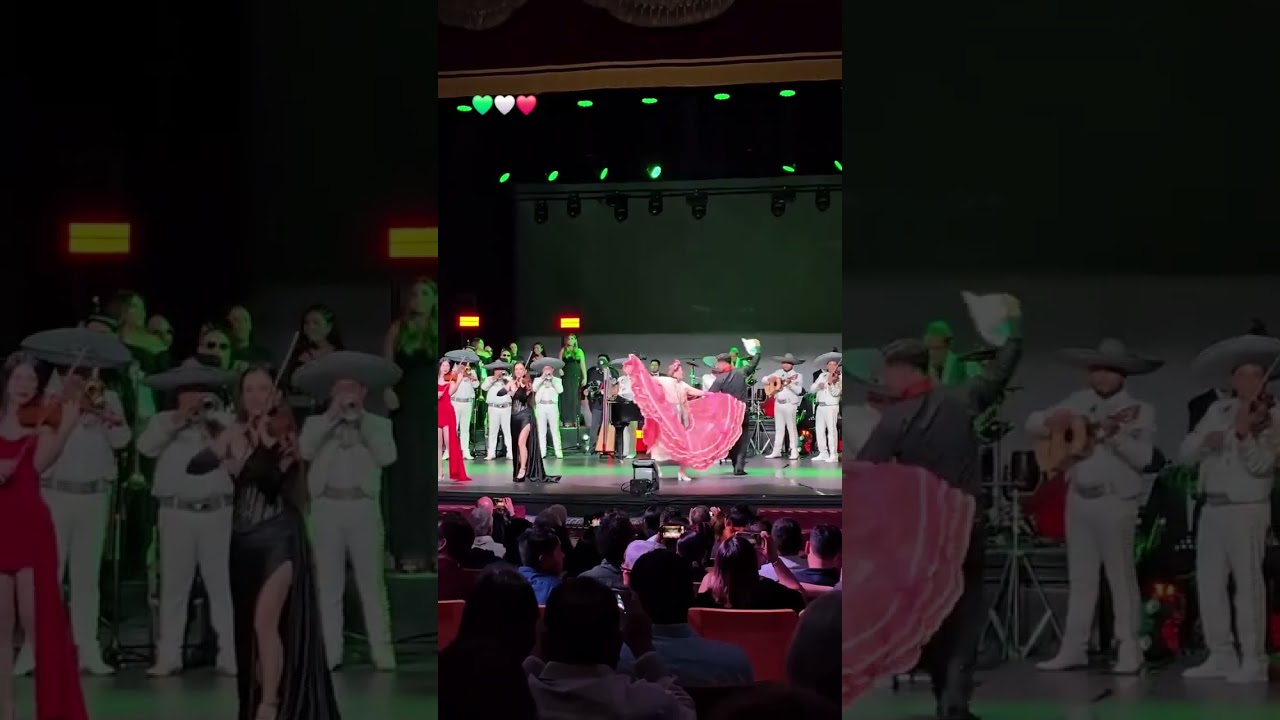 huapango de Moncayo    mariachi juvenil Arperos de león gto y arcano 4771543352 WhatsApp