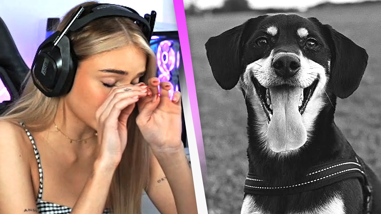 Unges Hund wurde vergiftet 🥺 Warum macht man sowas? 😟 | Reaktion