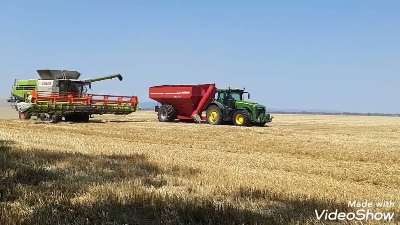 Žatva P&scaron;enice/Wheat Harvest/B&uacute;za Arat&aacute;s Exata Group 2021 Slovakia