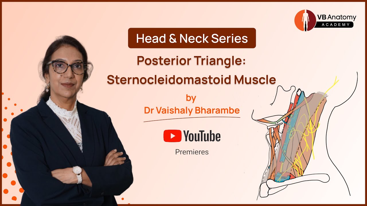 Decoding the Sternocleidomastoid Muscle in the Posterior Triangle with Dr. Vaishaly Bharambe