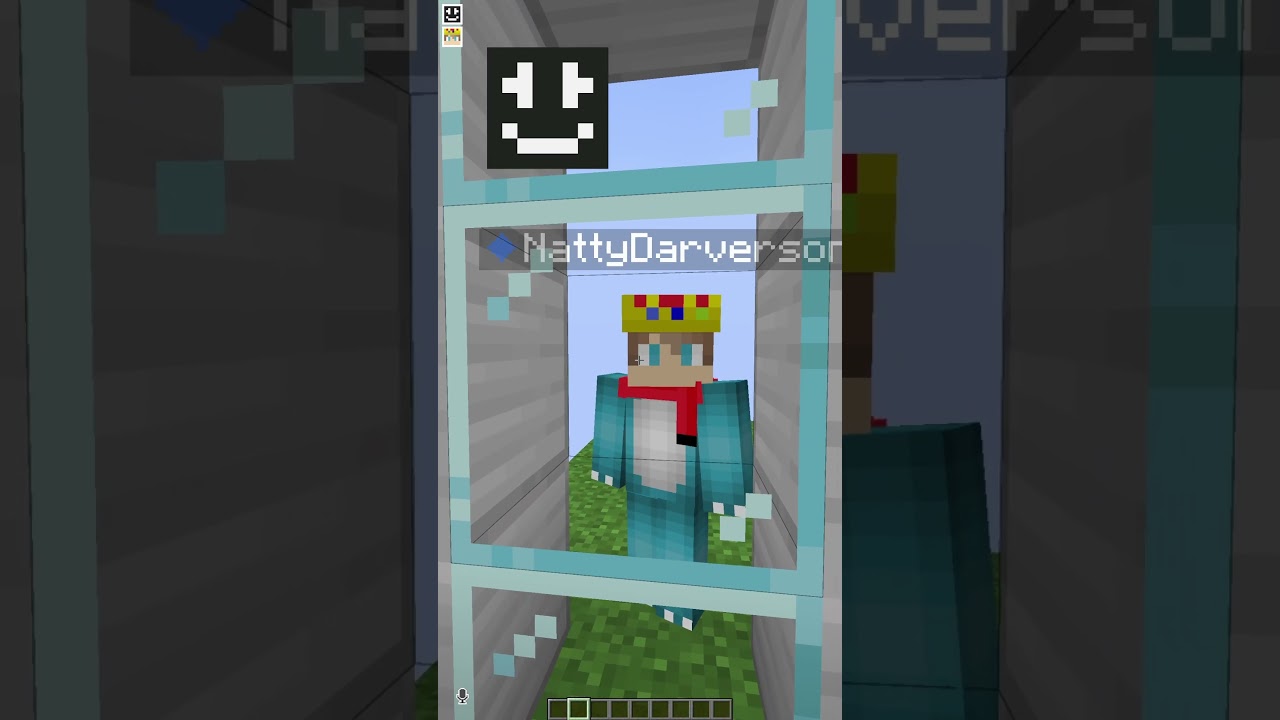 Minecraft Lying Game 3