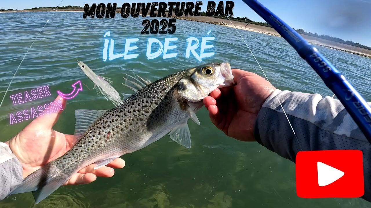 Mon 